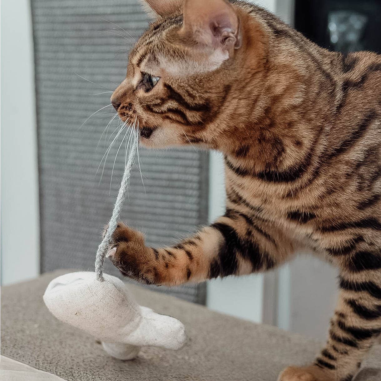 Ne&no® Katzenspielzeug mit Katzenminze -3er Set- inkl.Refill