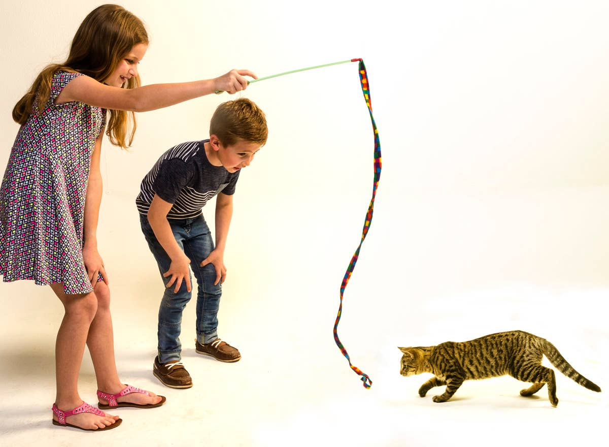 Cat Charmer Katzenangel von Cat Dancer