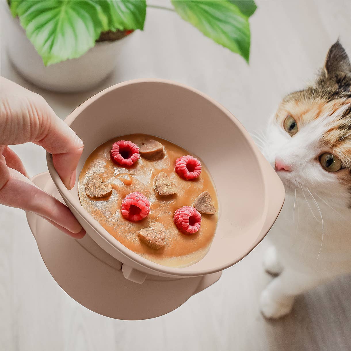 Ne&no® Erhöhter Silikon Futternapf + verstellbare Neigung