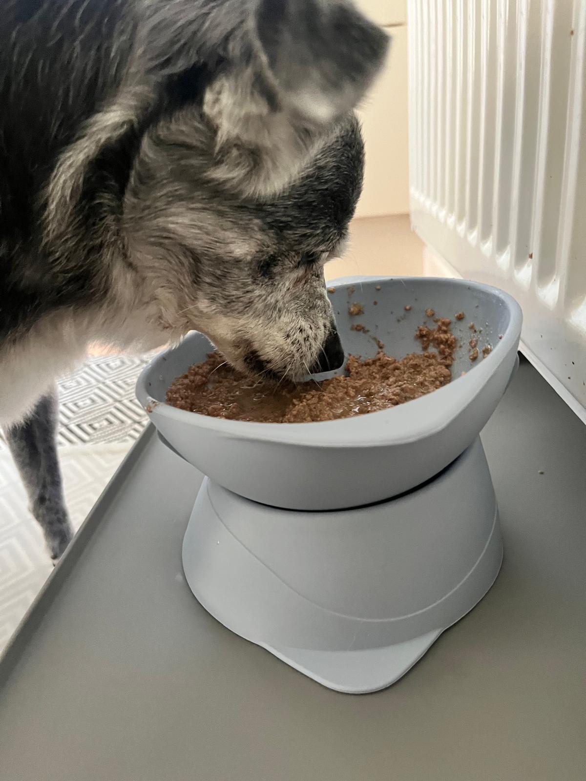 Ne&no® Erhöhter Silikon Futternapf + verstellbare Neigung
