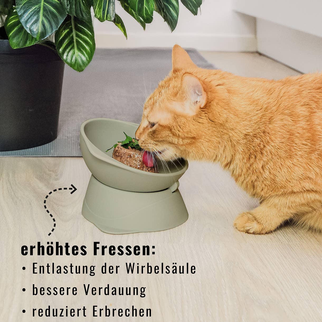 Ne&no® Erhöhter Silikon Futternapf + verstellbare Neigung