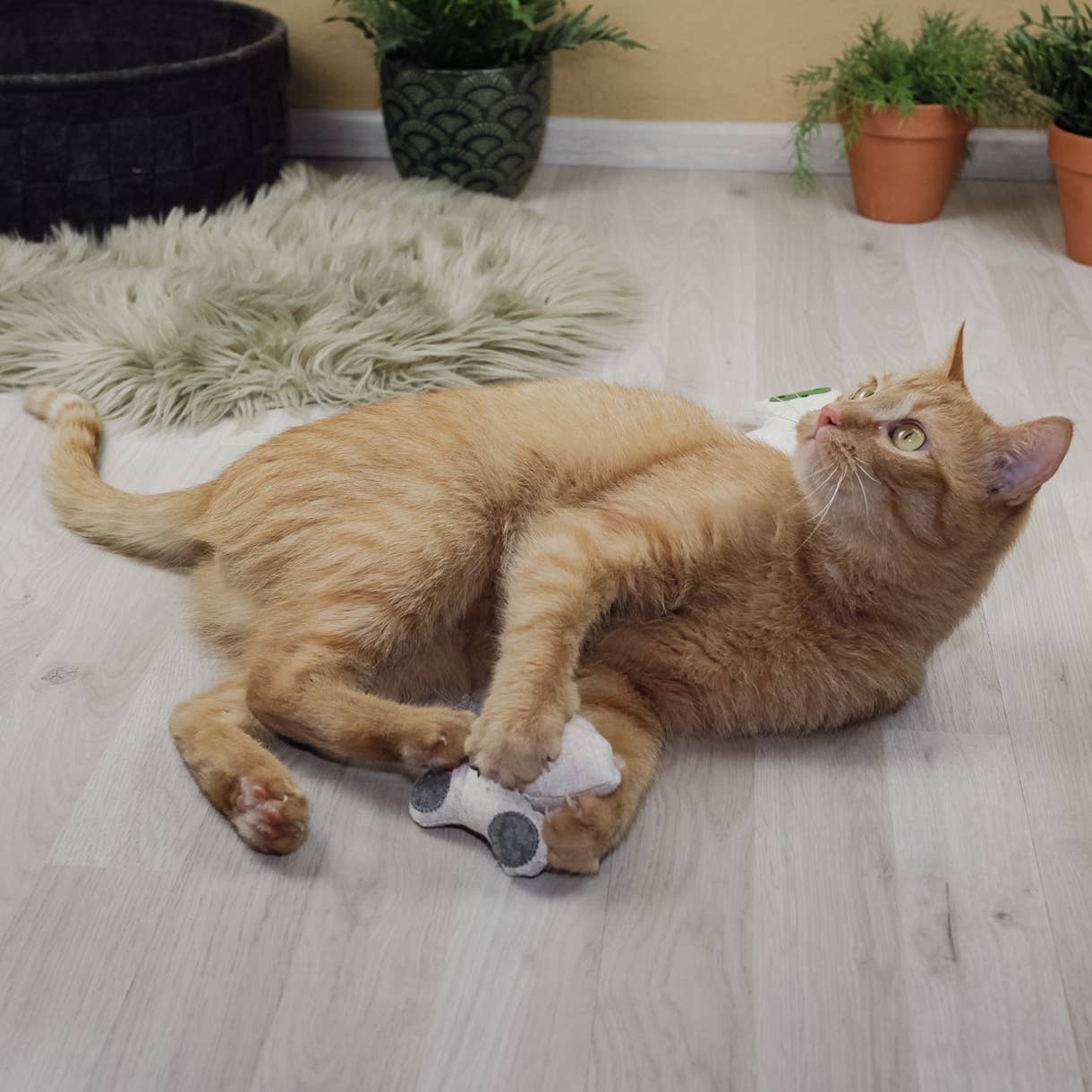 Ne&no® Katzenspielzeug mit Katzenminze -3er Set- inkl.Refill